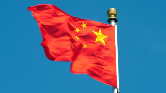 小汪汪